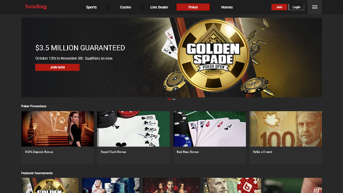 Bodog Poker Homepage