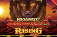 Buffalo Rising Megaways Video Slot