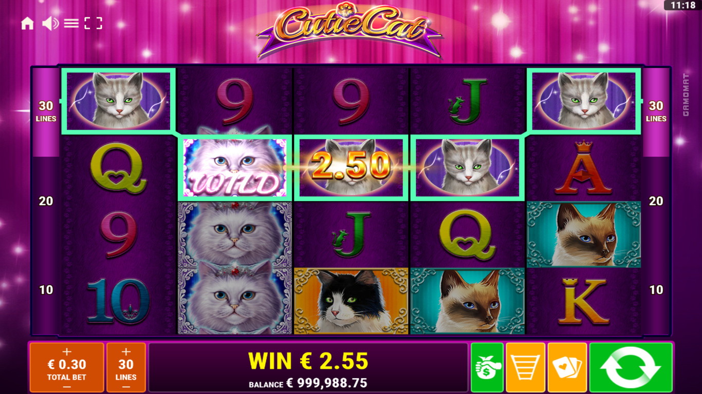 Cutie Cat Slot Game