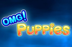 OMG! Puppies Video Slot