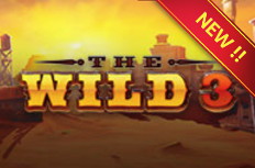 The Wild 3 Video Slot