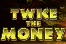 Twice the Gold Video Slot