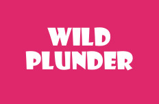 Wild Plunder Video Slot