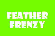 Feather Frenzy Video Slot