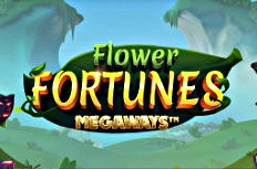 Flower Fortunes Megaways Video Slot