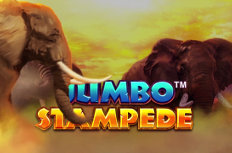 Jumbo Stampede Video Slot