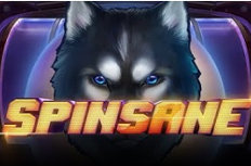 Spinsane Video Slot