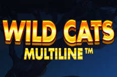 Wild Cats Multiline Video Slot